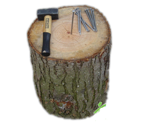 Nagelen set