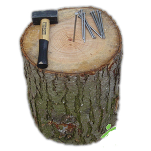 Nagelen set
